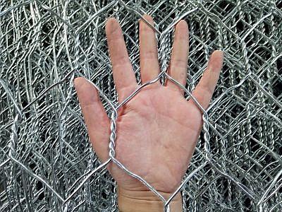 leyu乐鱼登陆:手机在线观看 你懂的