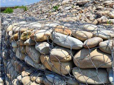 leyu乐鱼登陆:【视觉·印象】才智养鱼鱼满舱